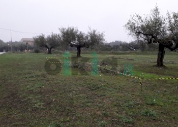 Terreno edificabile Via Faresi, Cepagatti - foto 1