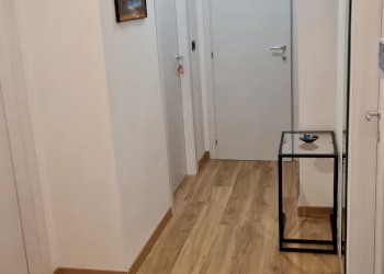 Trilocale Torino (zona Nizza Millefonti) - foto 5