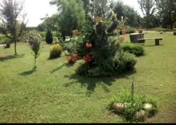 Independent house Via Murazzo 8, hamlet San Biagio, Centallo - photo 4
