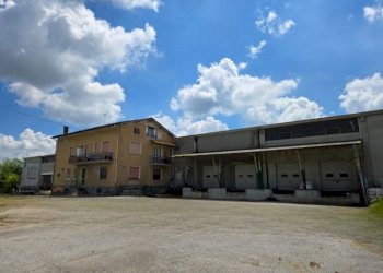 Capannone strada Trinità 31, Carrù - foto 4