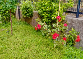 Quadrilocale Genova (zona Belvedere) - foto 1