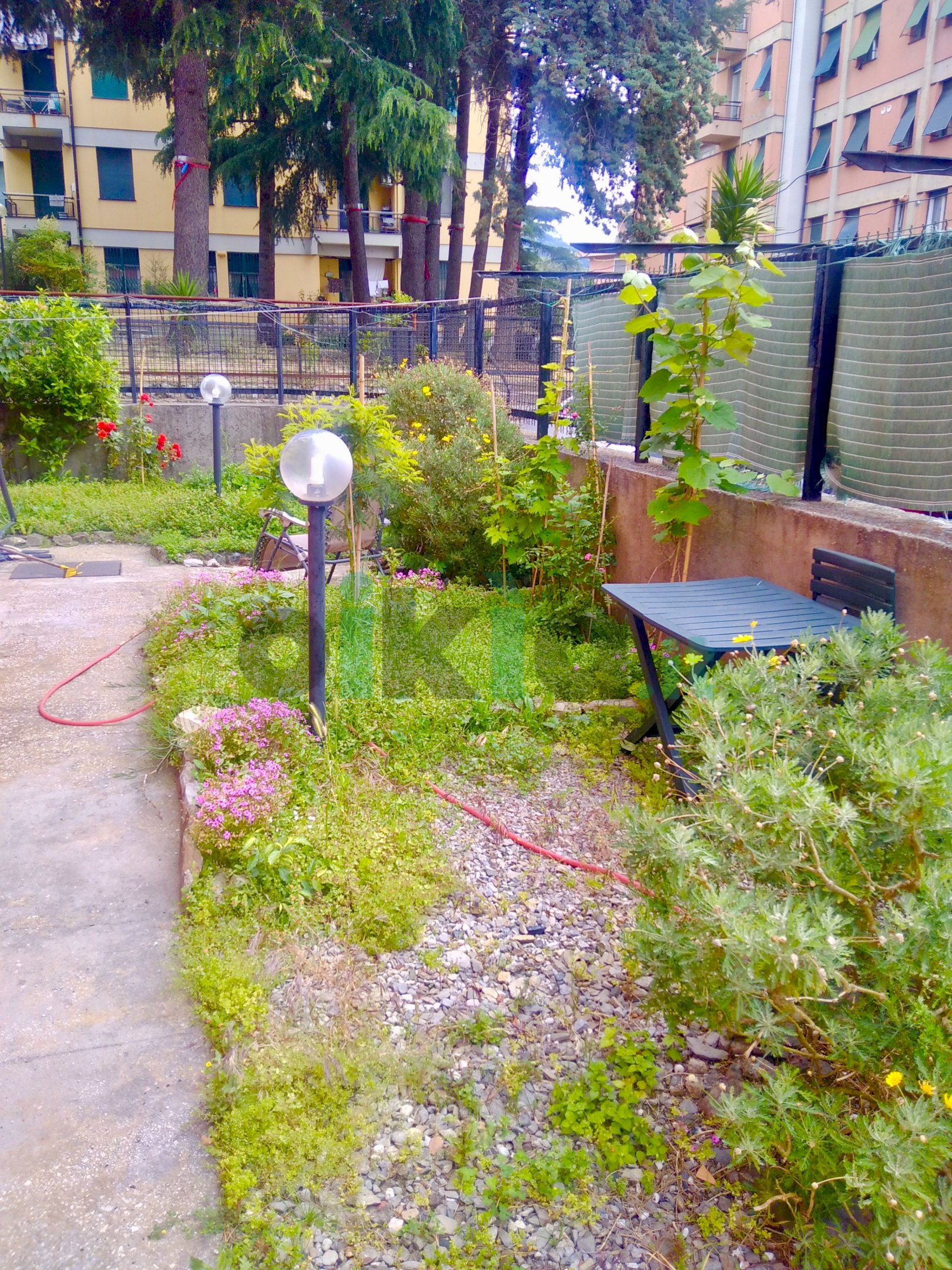 Four-room apartment Genova (neighborhood Belvedere) - photo 2