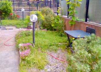 Quadrilocale Genova (zona Belvedere) - foto 2