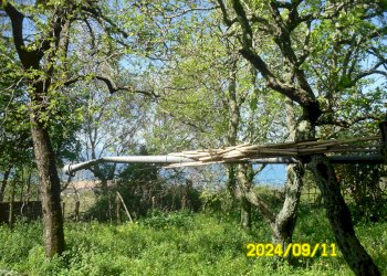 Casa Colonica Via Fiorina, frazione Scarcelli, Fuscaldo - foto 5
