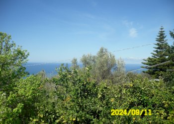 Casa Colonica Via Fiorina, frazione Scarcelli, Fuscaldo - foto 6