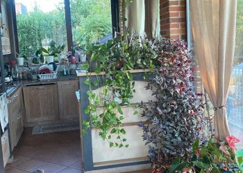 Villa Via monte bersaio 11, Borgo San Dalmazzo - foto 8