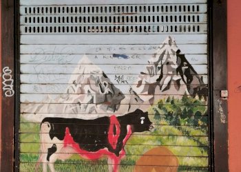 Negozio via San Felice 56, Bologna - foto 1