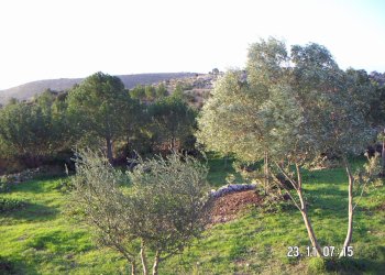 Villetta Noto - foto 5