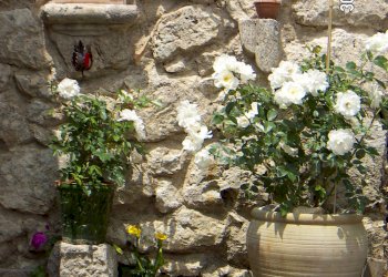 Villetta Noto - foto 16