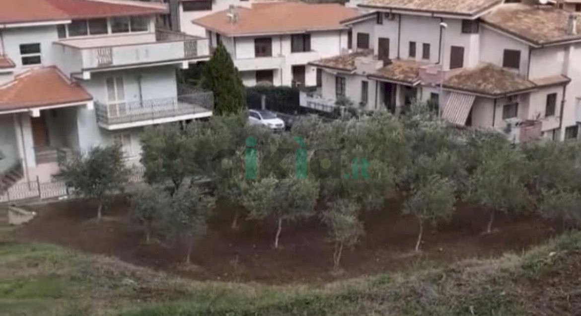 Casa indipendente Via g Amendola 36, Maida - foto 3
