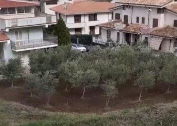 Casa indipendente Via g Amendola 36, Maida - foto 3