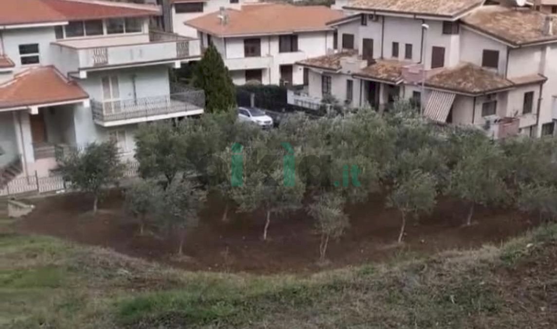 Terreno agricolo frazione Catanzaro Marina, Catanzaro - foto 3