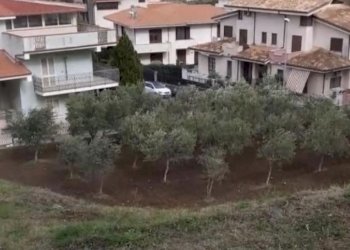 Terreno agricolo frazione Catanzaro Marina, Catanzaro - foto 3