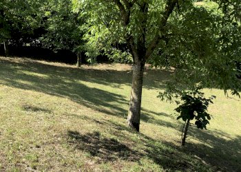Two-room apartment Via Castagnola 20, hamlet Vesale, Sestola - photo 6