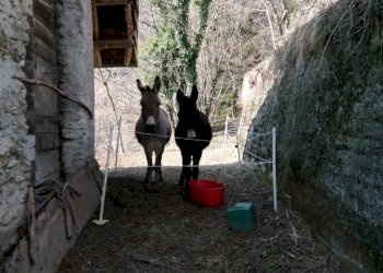 Casa per ferie Borgata Ruá, 42, Monterosso Grana - foto 9