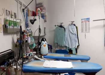 Shop Corso Toscana 120, Torino (neighborhood Lucento) - photo 5