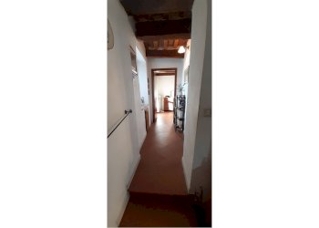 Quadrilocale via interna 45, frazione Polveraia, Scansano - foto 8