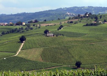 Villa Trifamiliare Frazione Spagna 9, frazione Francia, Montecalvo Versiggia - foto 11