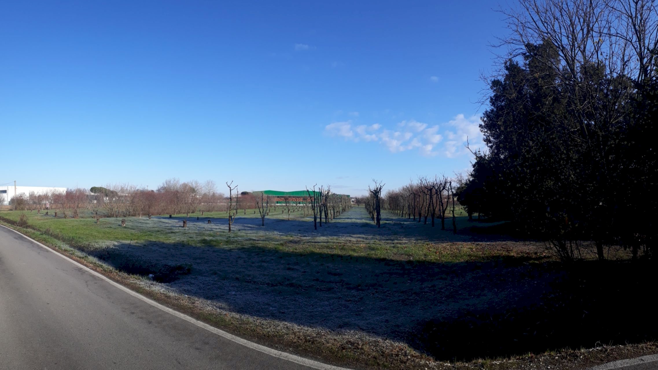 Terreno industriale via mastrogiorgio 15, Forlì - foto 1