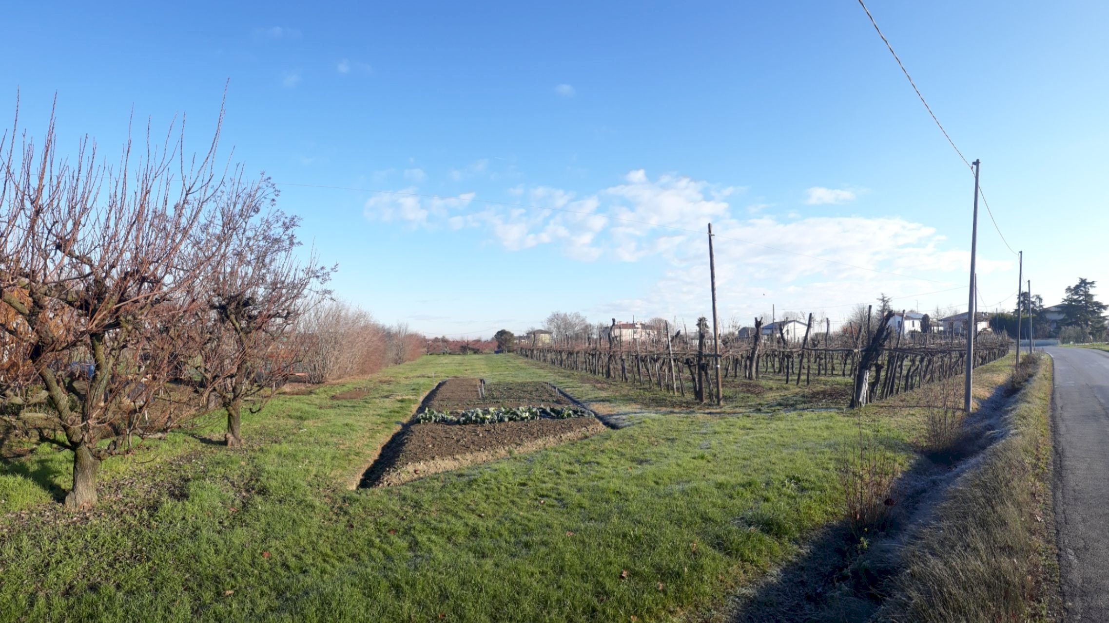 Terreno industriale via mastrogiorgio 15, Forlì - foto 2