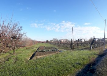 Terreno industriale via mastrogiorgio 15, Forlì - foto 2