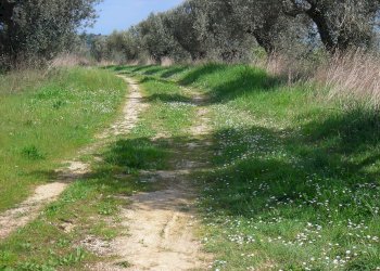 Villa via colle alto, Tortoreto - foto 10